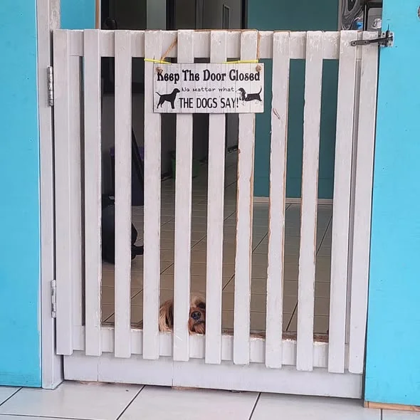 The white picket gate at FURever Friends with its hand-painted sign — Keep The Door Closed, no matter what the dogs say — and a small dog peeking underneath